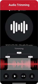 Audio Recorder screenshot 3